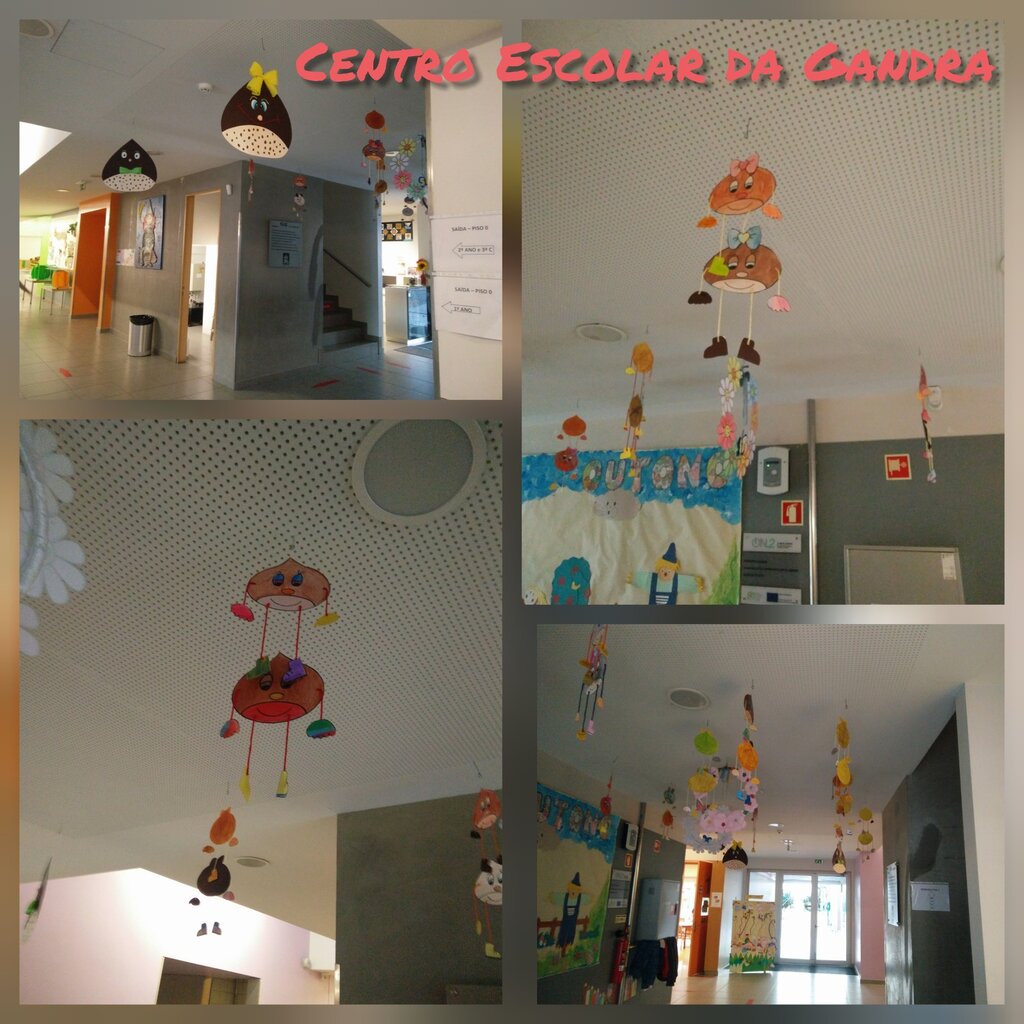 InShot_20201111_104505889