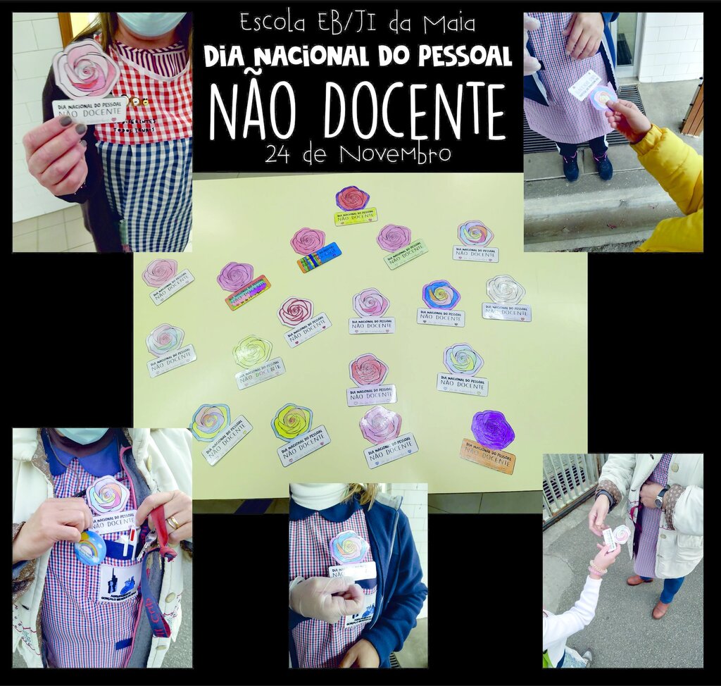 nao_docente