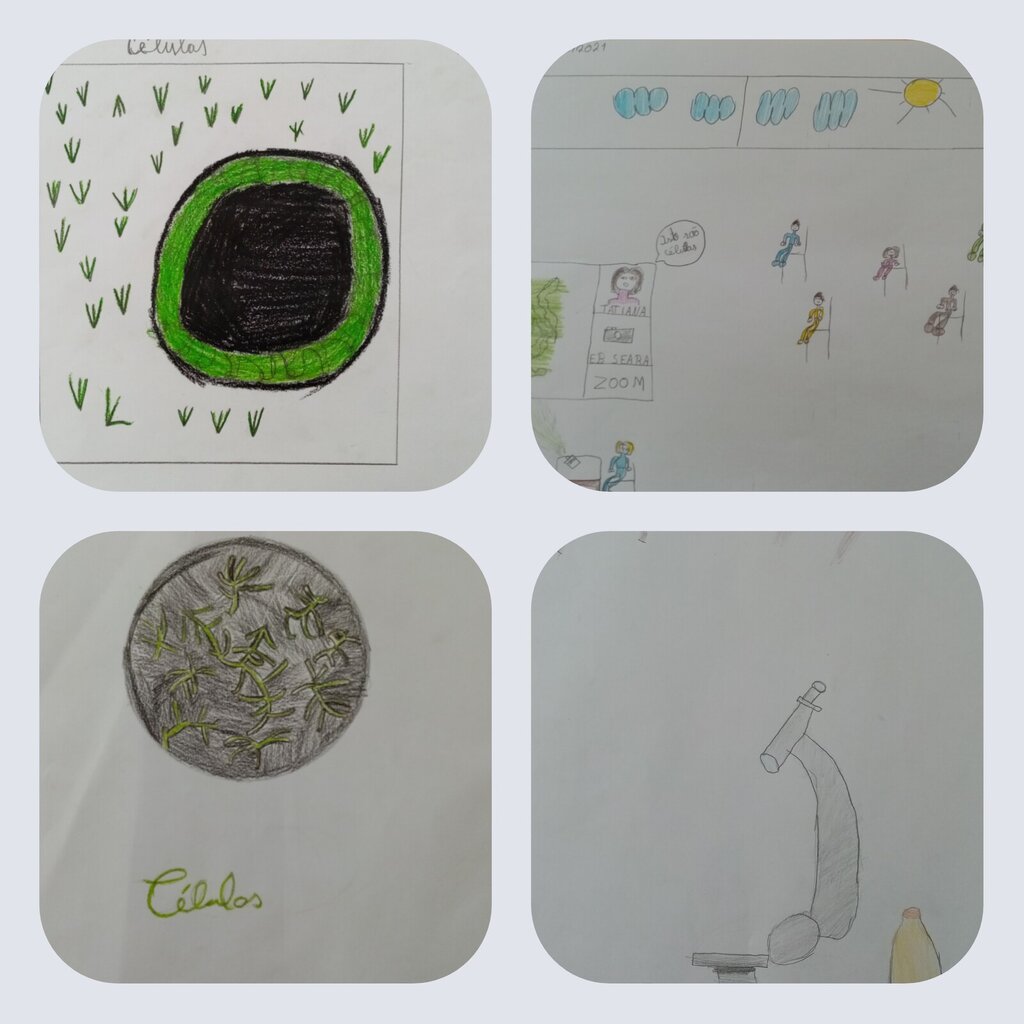 collagemaker_20210511_081214054