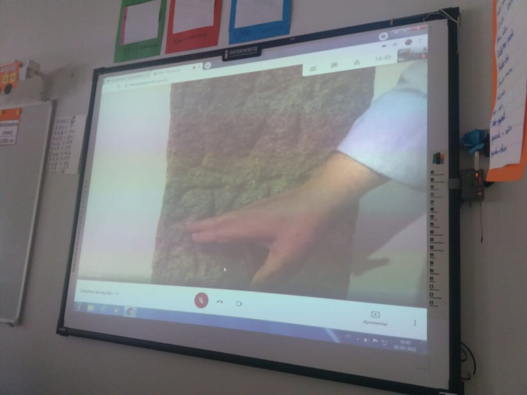 whatsapp_image_2021_05_18_at_23_24_06