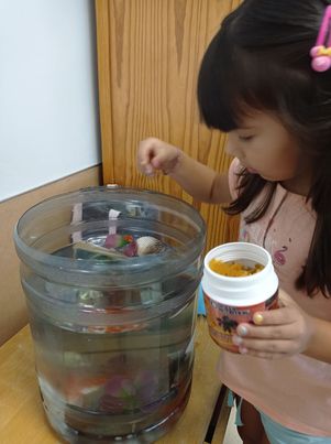 223047056_913203342885175_2488632946138339234_n