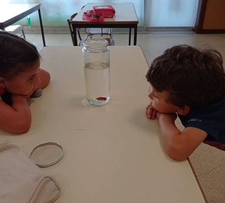 224864465_174681877939143_6174298213152856138_n