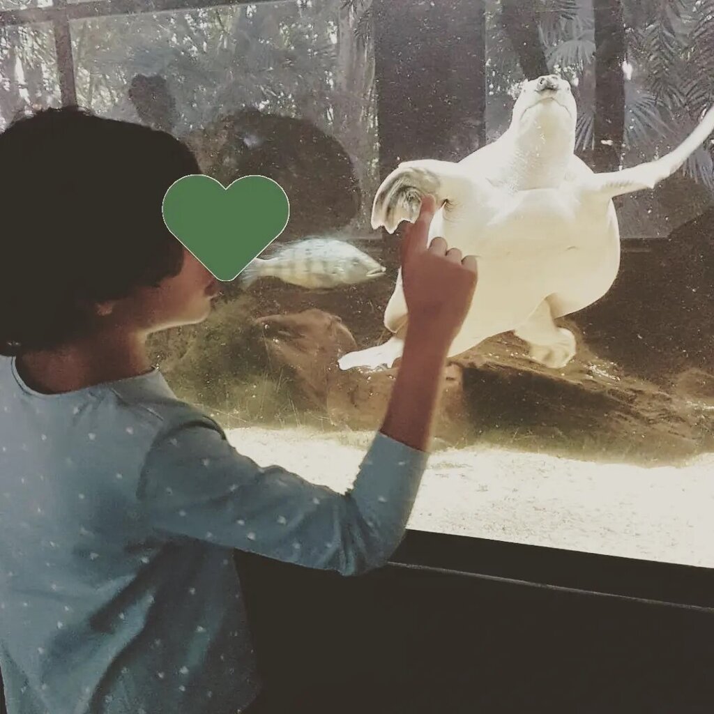 239953685_4316424851784210_3011602826963706133_n