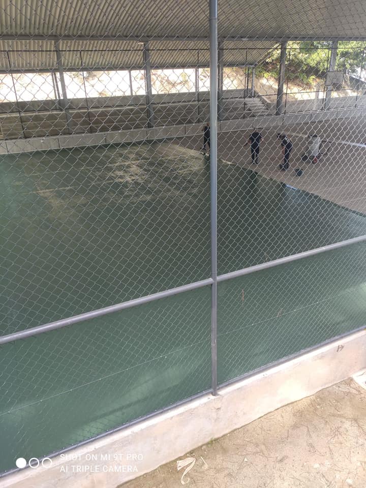 242762490_4386303704792486_4999830556486335530_n