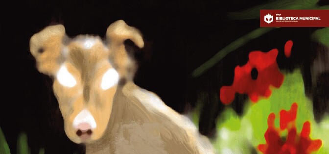 2022_01_comunidade_de_leitores_2_cmm