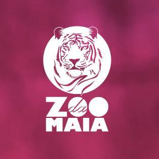 “CONHECES?” – Páscoa de 2015