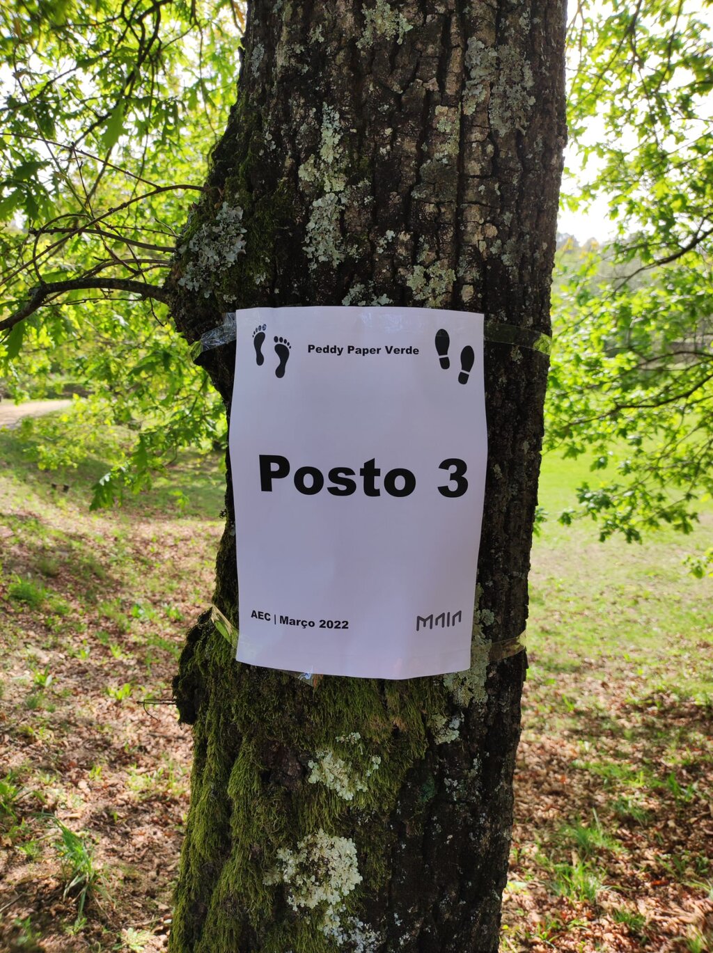 whatsapp_image_2022_03_29_at_07_51_47__3_