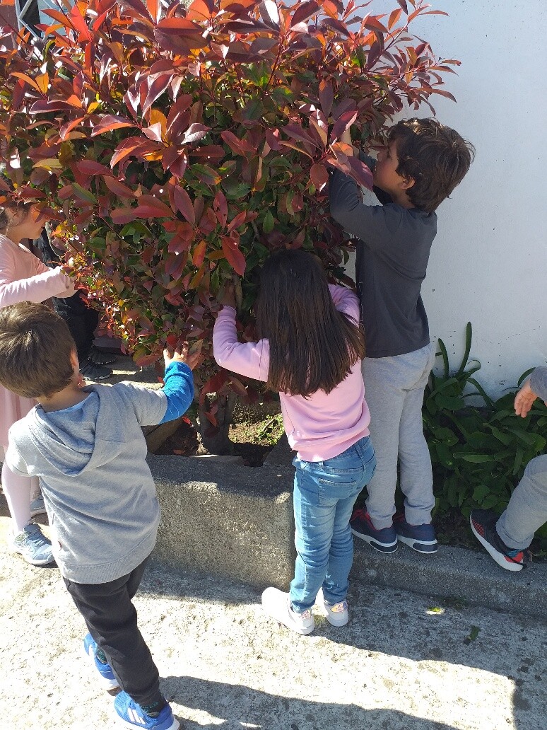 20220414_162657_resized_1