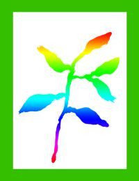 CONCURSO DE POSTAIS “N” DE NATAL 2014