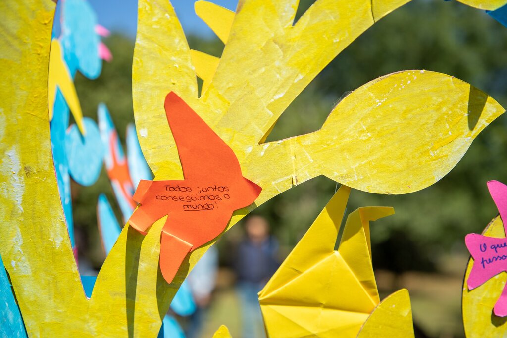 parque_avioso___maia_141