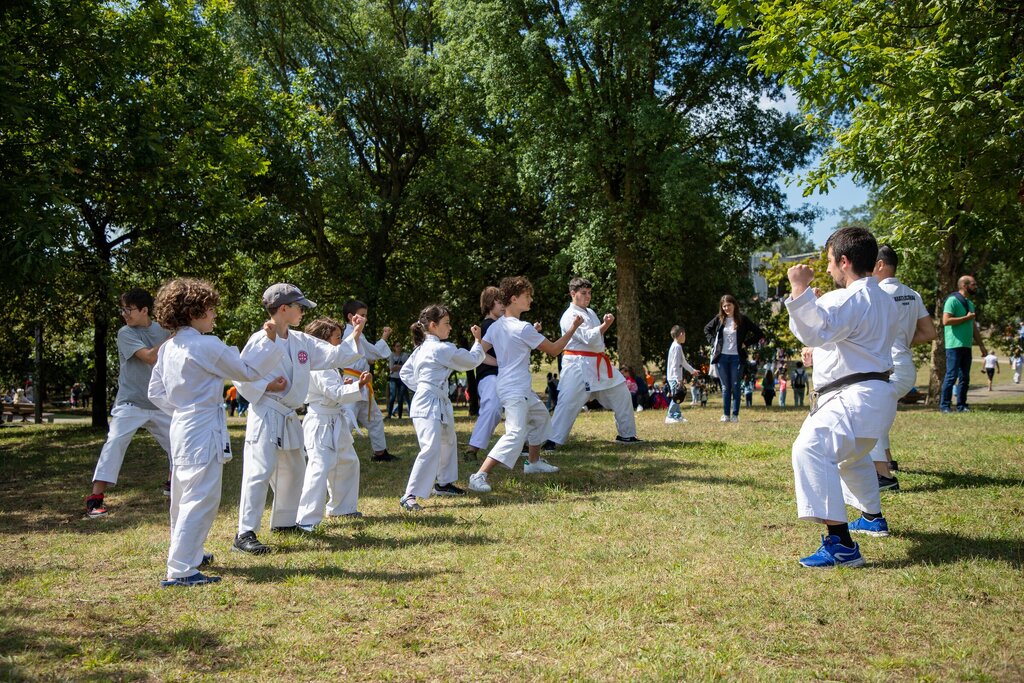 parque_avioso___maia_149