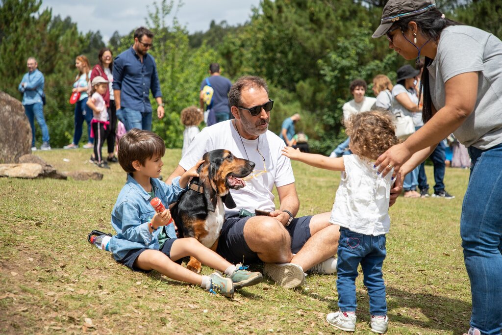 parque_avioso___maia_281