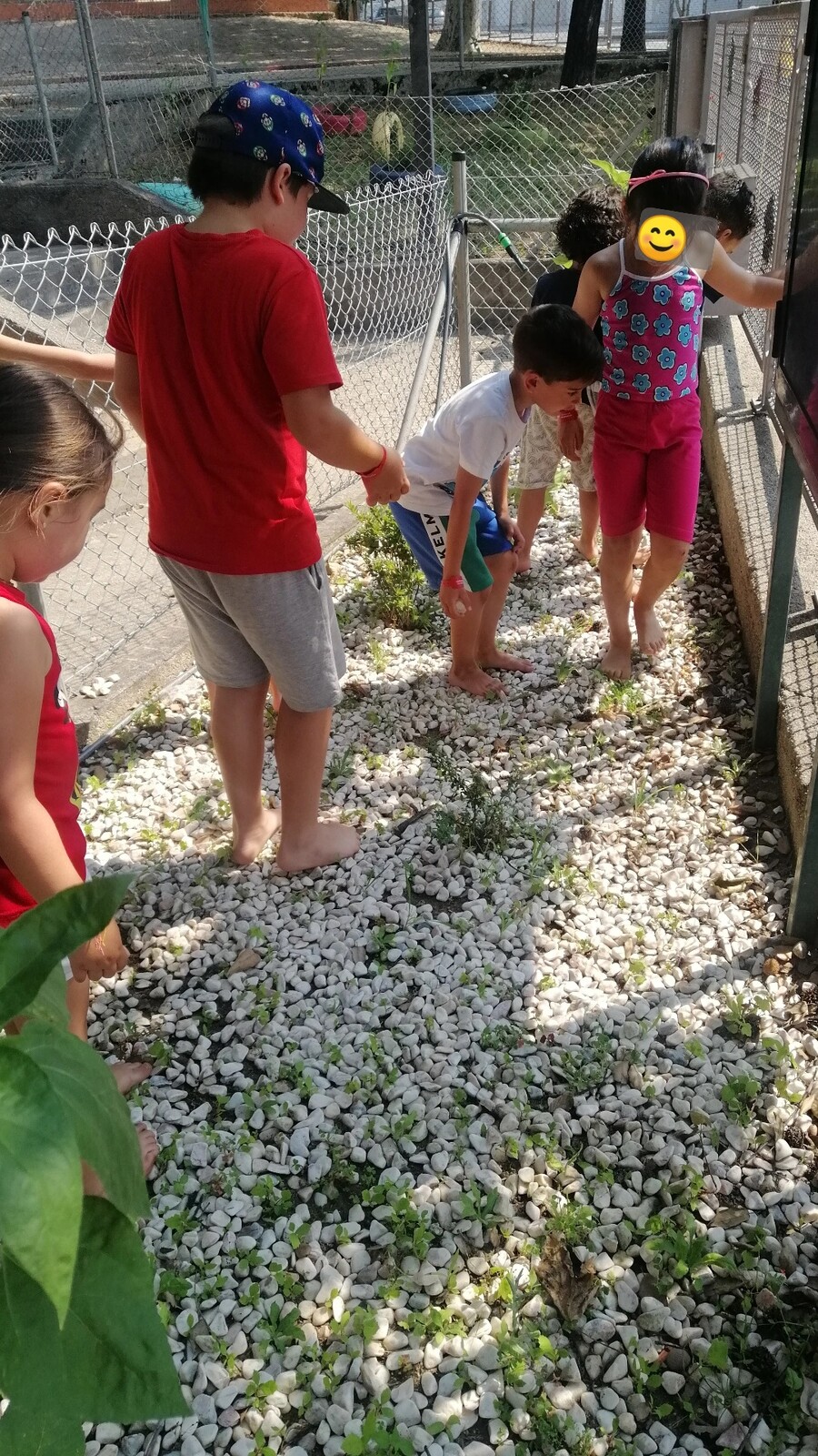 IMG_20220715_160037_827O