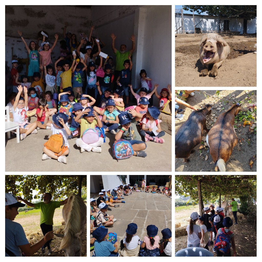 processed-c2ac4729-0451-4701-a68b-b7c2c451492c_M6M91rK7