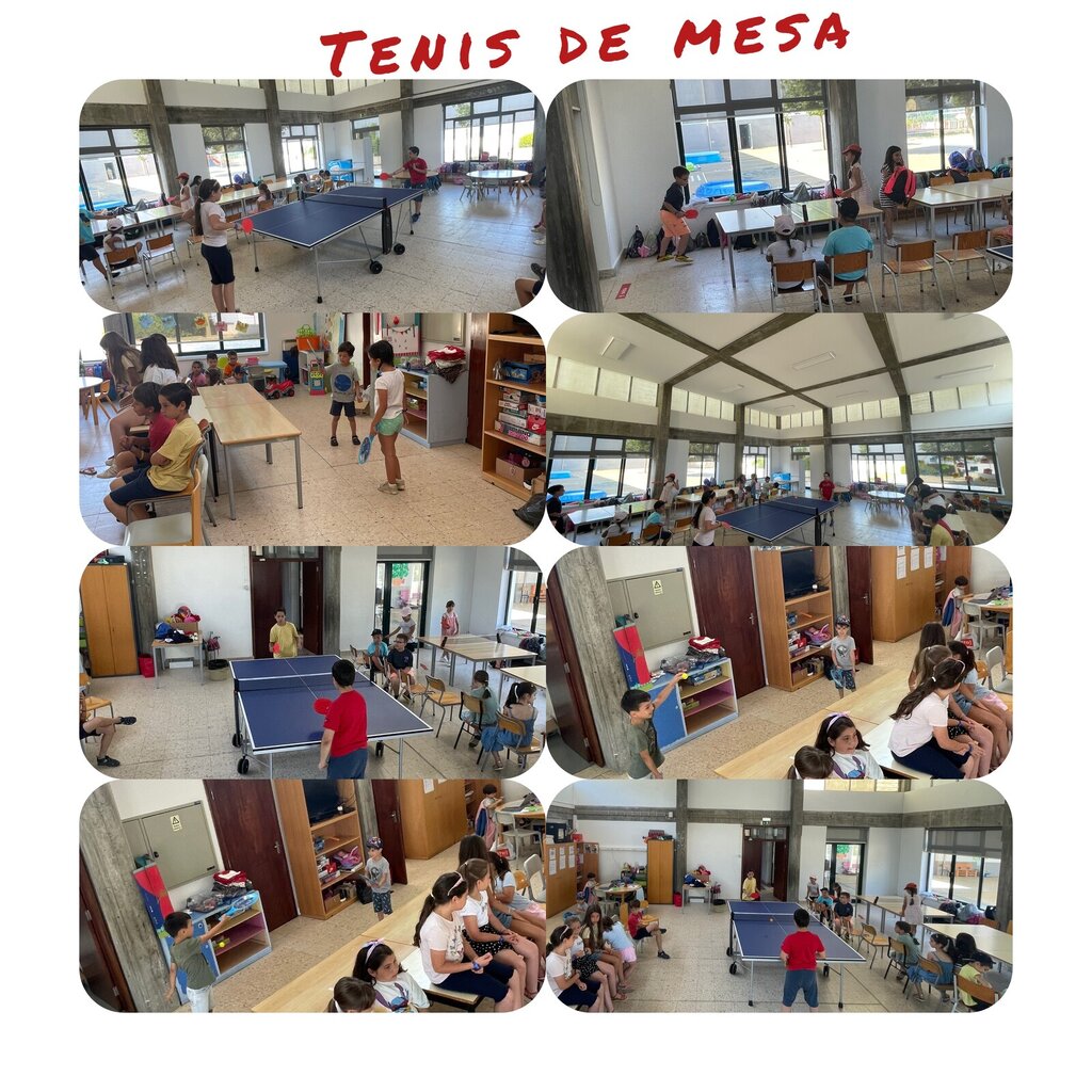 ténis de mesa