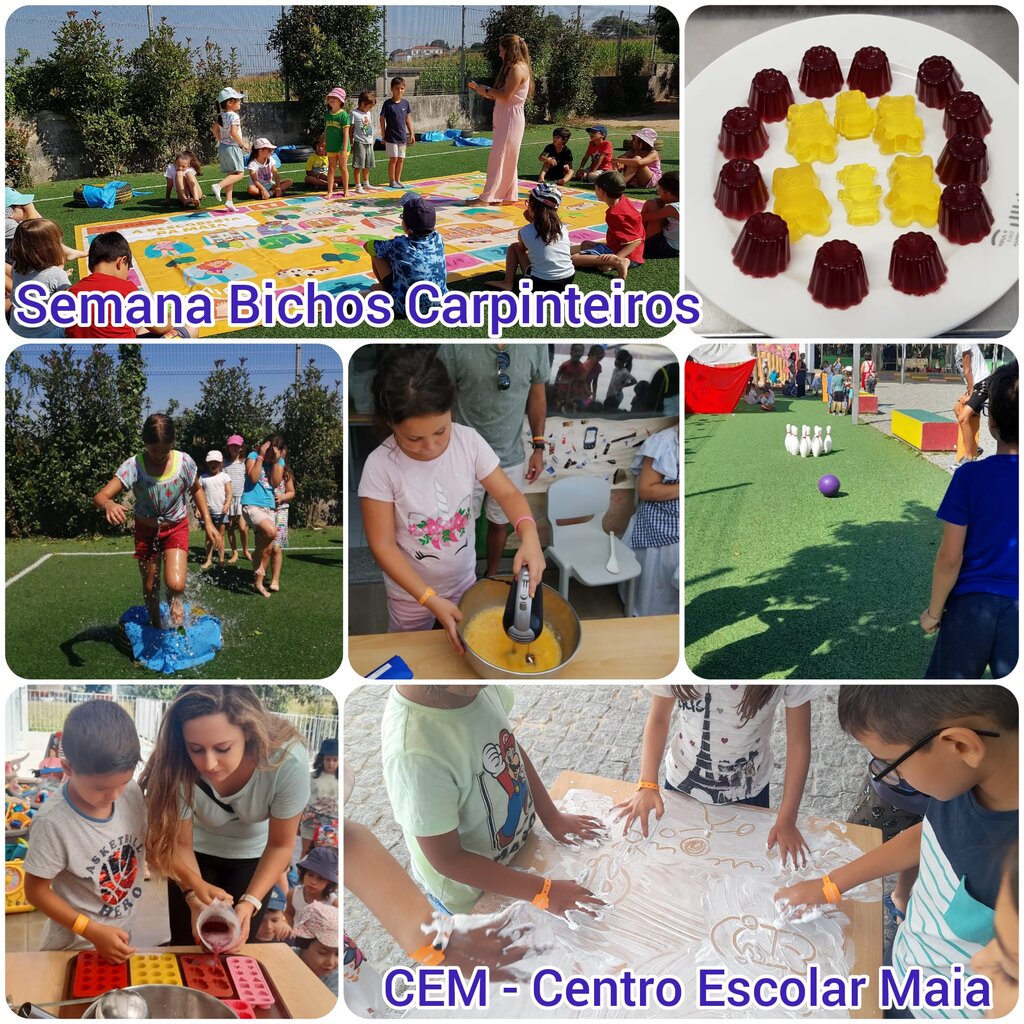 CEM_Semana Bichos Carpinteiros