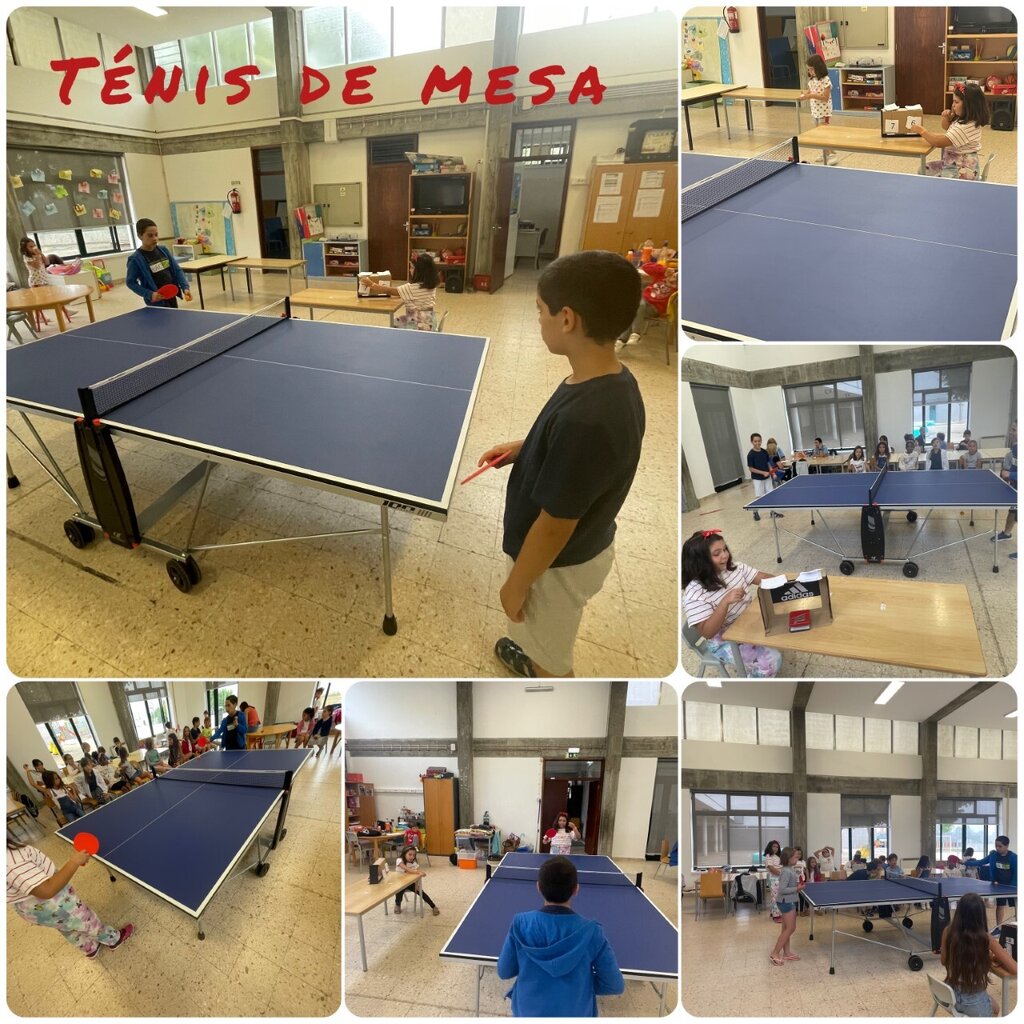 Ténis de Mesa
