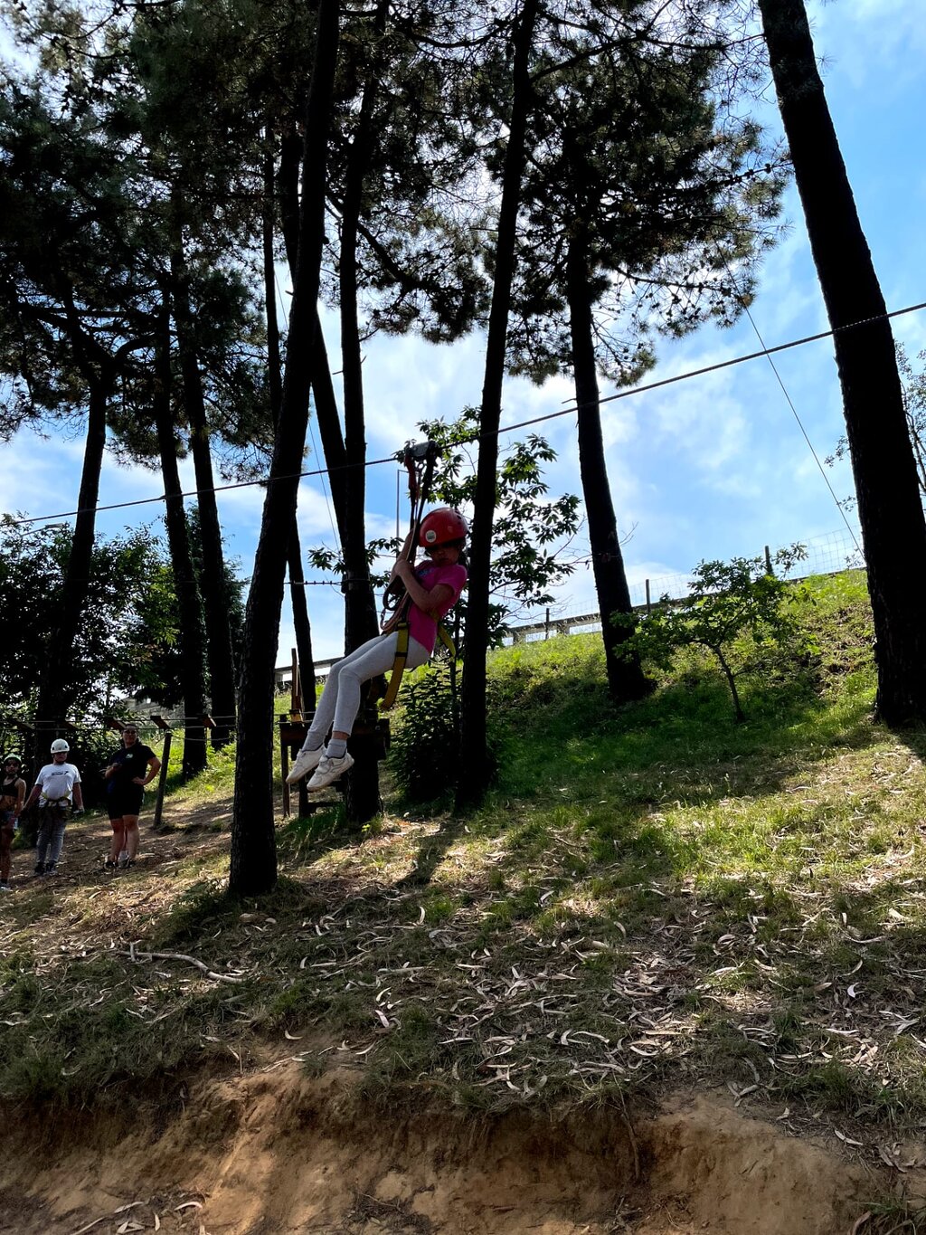 bf173662-30a1-402d-94b3-e01807a7baf5