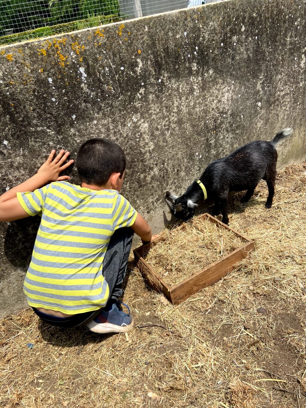 4ad7670f-51d4-49ce-a63e-2e2ca63a8f26