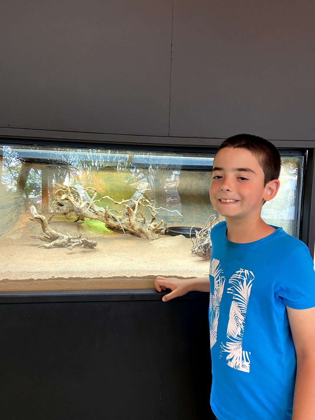 489b2551-71ba-4c7b-a741-96d1099a6b0c