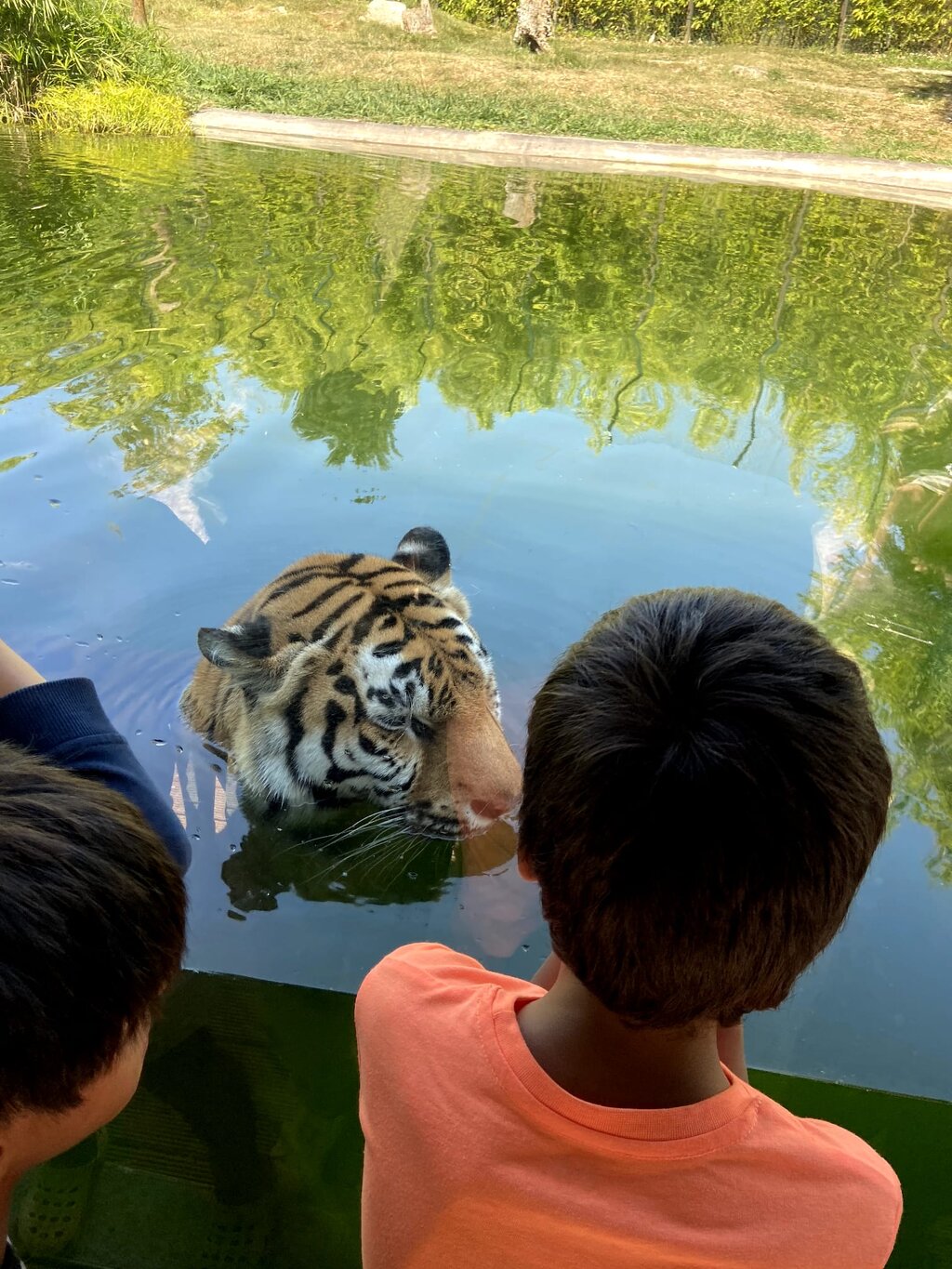 97e399cb-38ff-4b94-8e61-23c45c5187ed