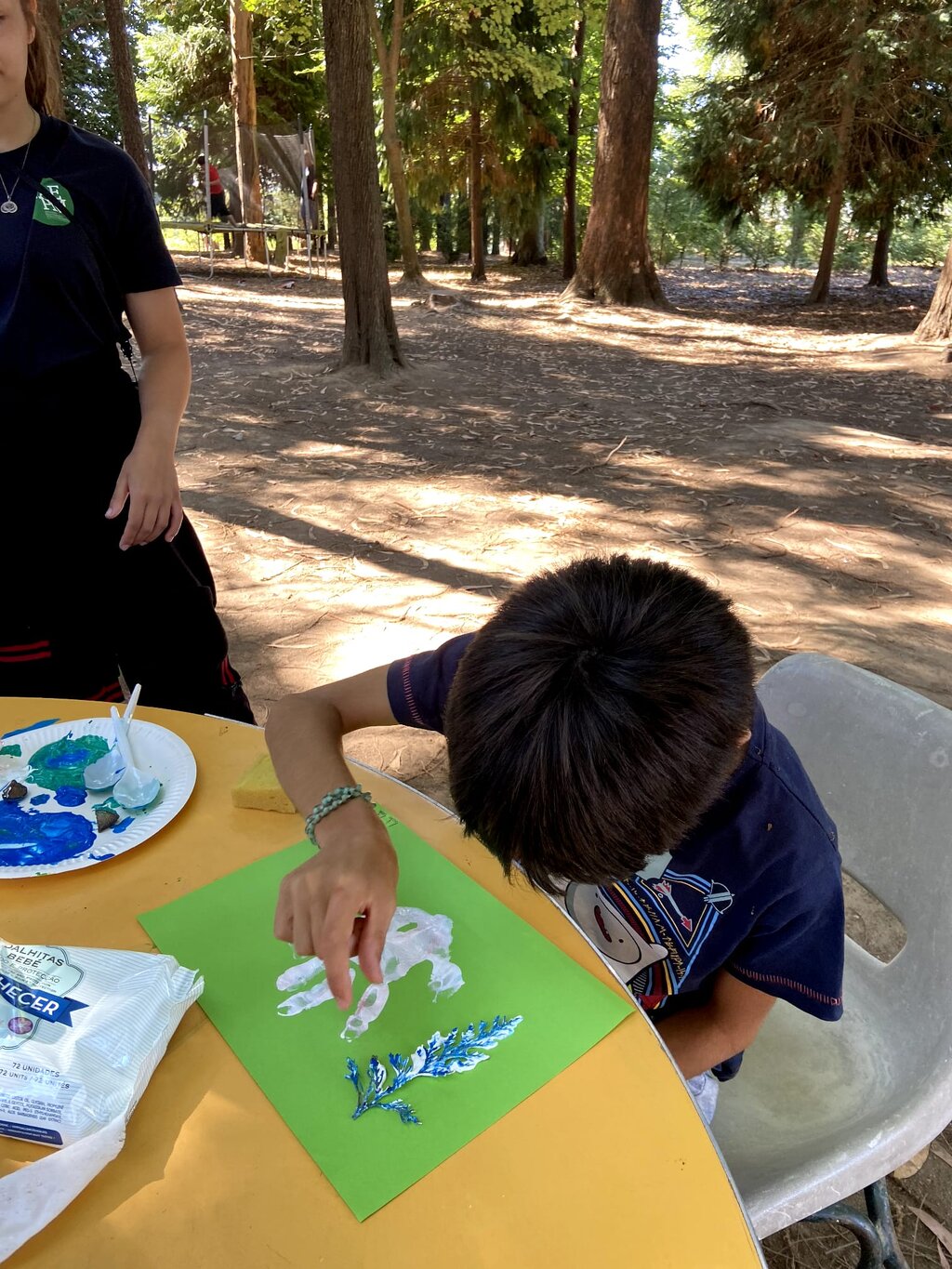 e3375102_fc16_4690_ac6b_f900bdd112b3__1_