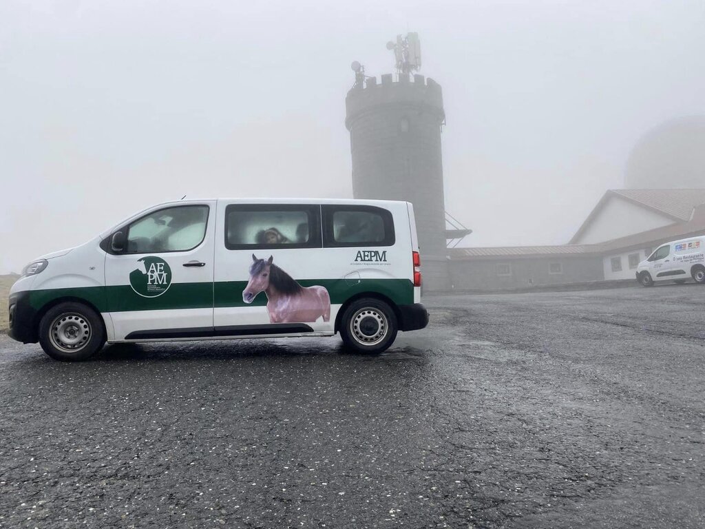 322202166_542753361239744_8814432272472540675_n