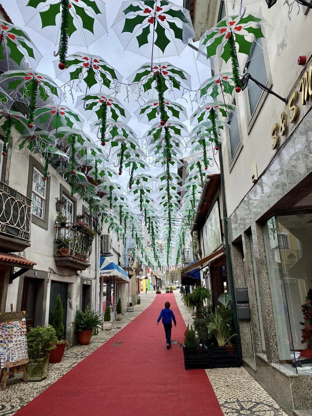 322013582_8465858666821973_6051343179283692126_n