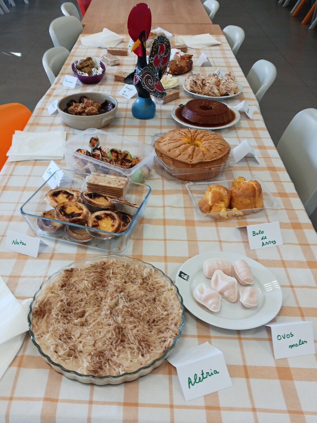 20230301_163136_resized