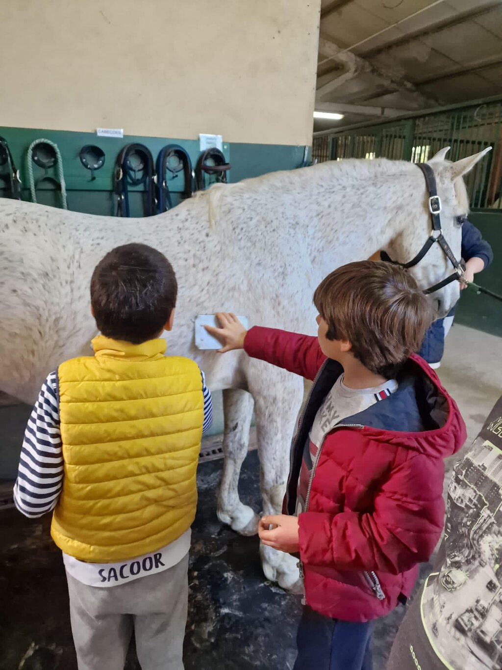 339265617_520223330085944_2607656212234833695_n