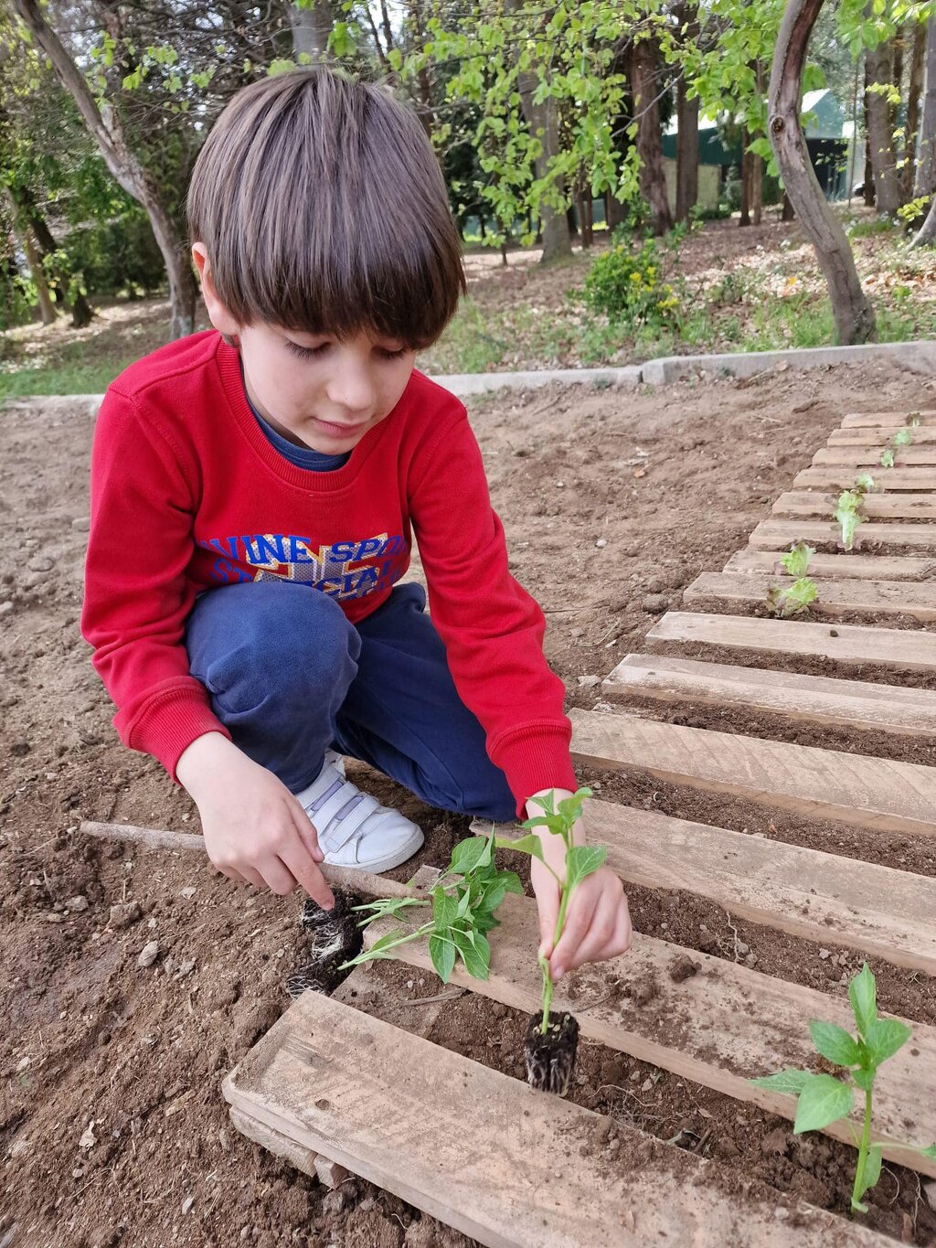 339281969_989245695375709_5320353795130276178_n