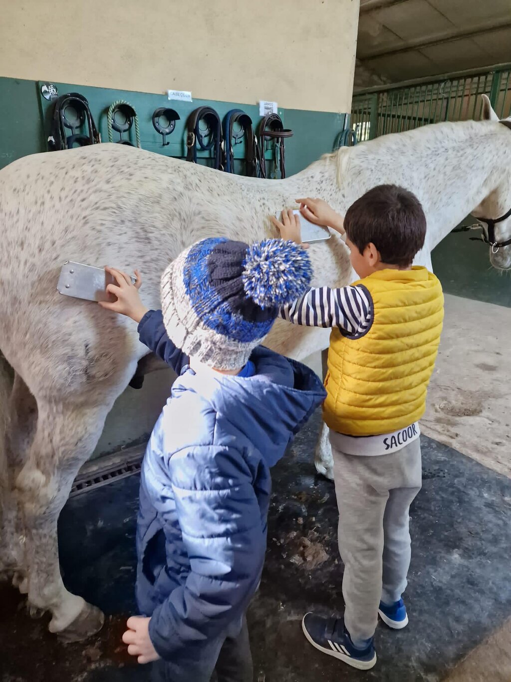 339426638_1323243568300340_8277101515689770737_n