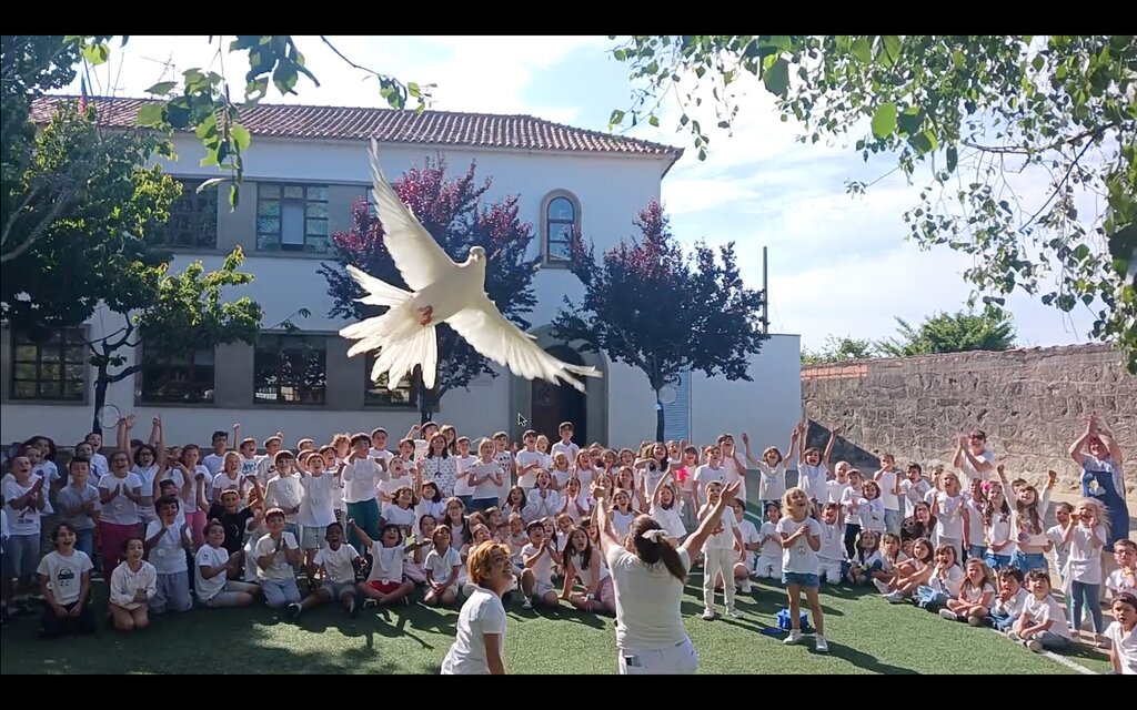 dia_internacional_da_paz