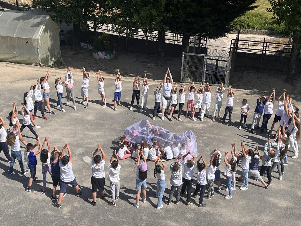 received_1956292014703210