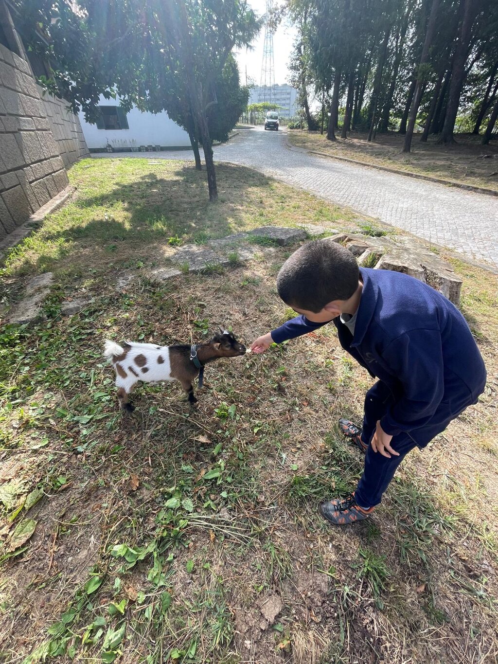 04f970fa_4505_4fa8_83d2_aa6e7650a6b7