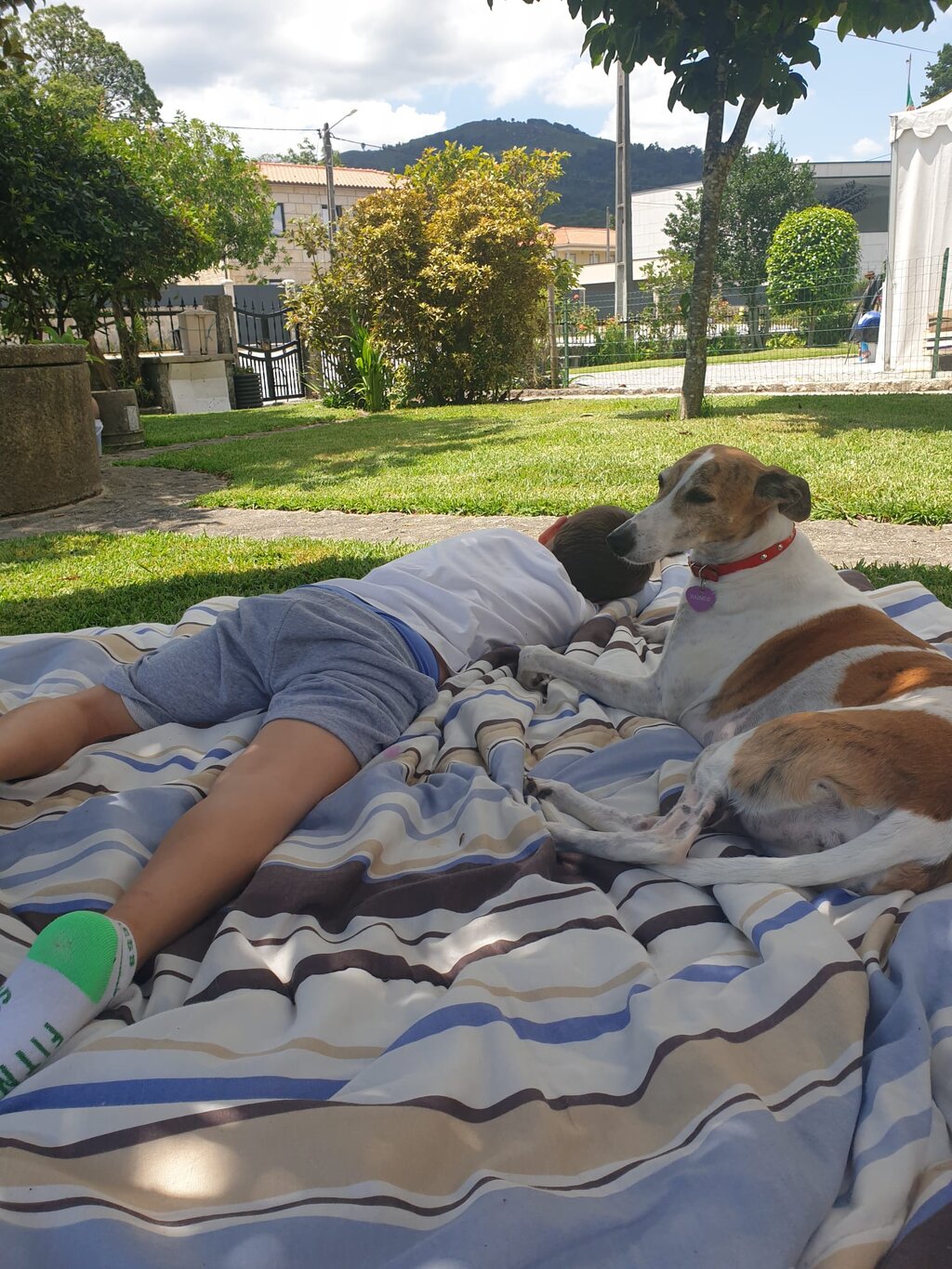 6ebcfdda_ac8f_44b6_9851_b9ffa1f6d655