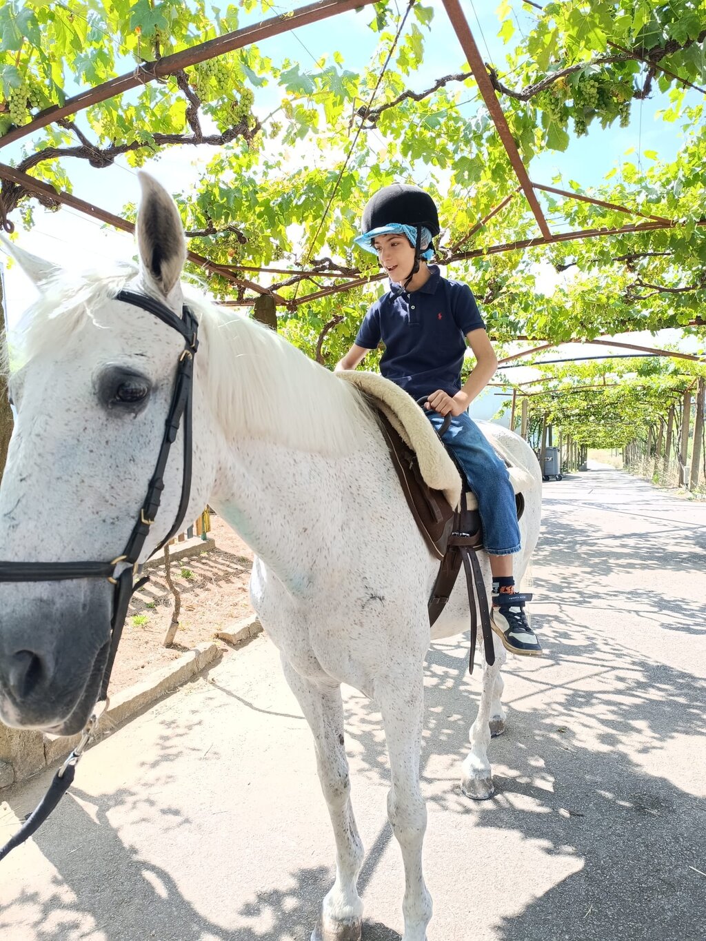 94569c76_806e_46ae_9433_0af6290a0734