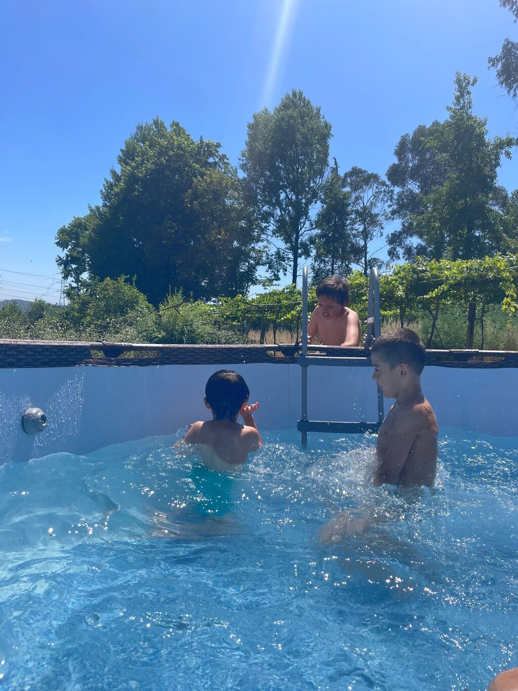 a32b6a58_9270_4a23_a8a7_bdcab66002a8