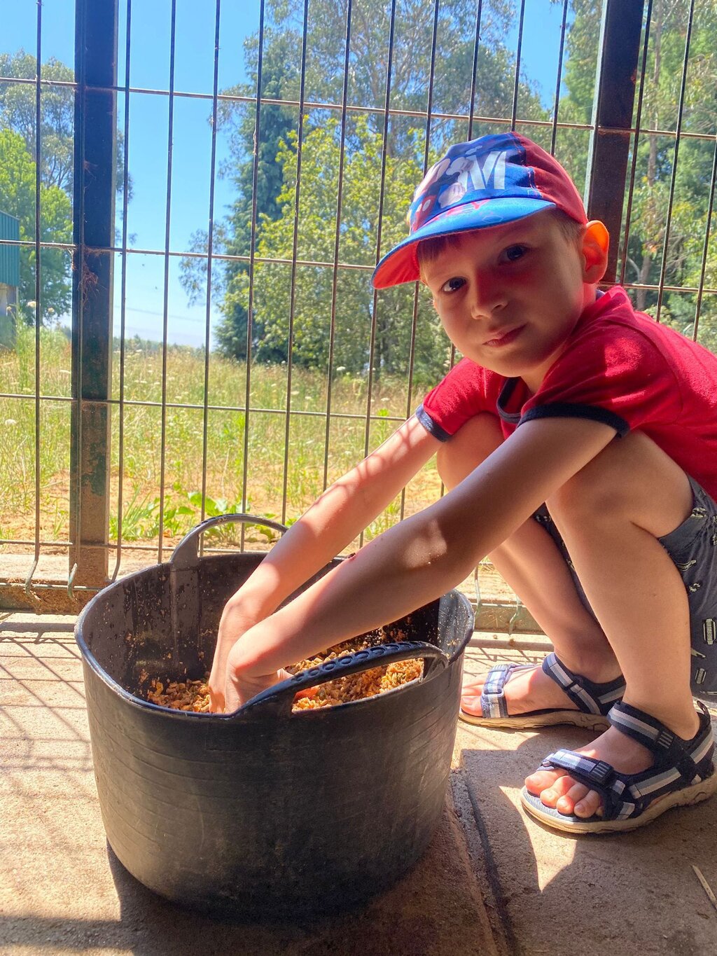 b781f968_a544_41e0_8af1_d7f2c14a44be