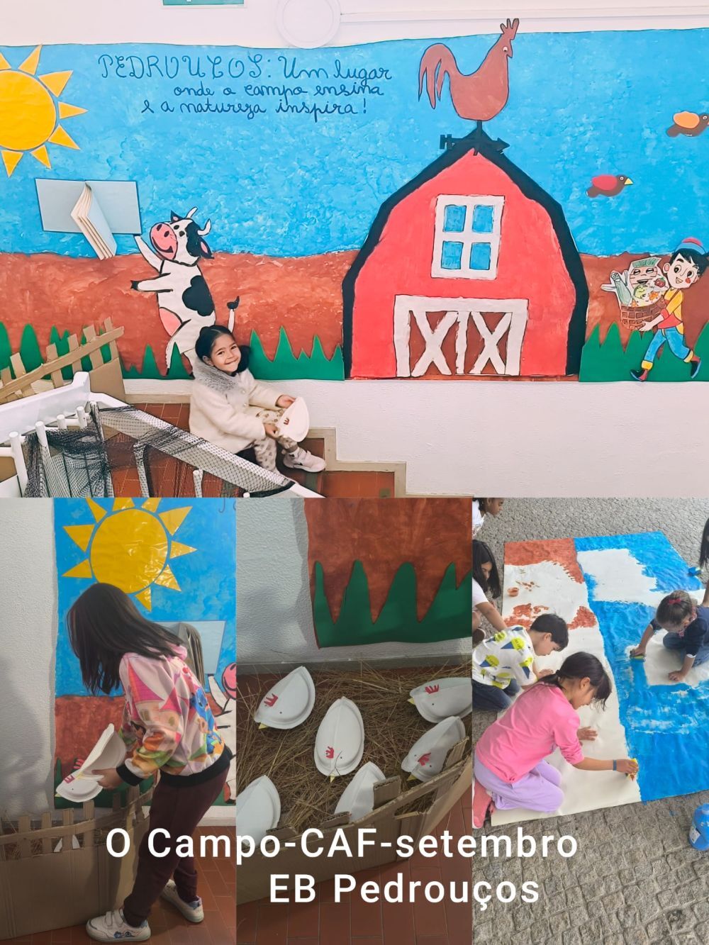 EB Pedrouços_O Campo