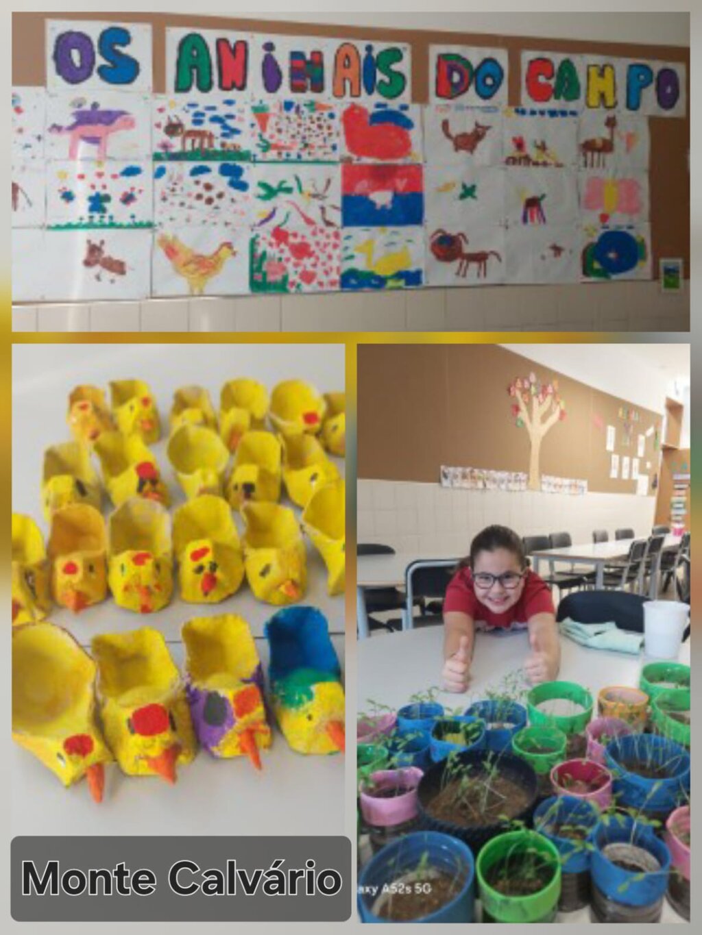 Mte Calvário_setembro