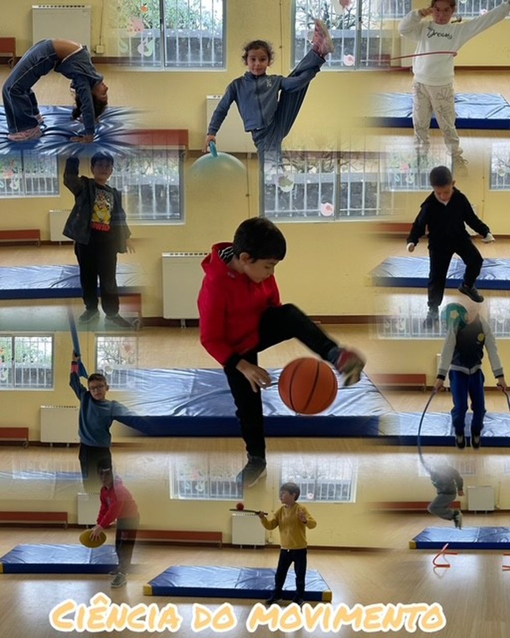 ciencia_do_movimento