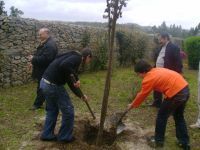 Comemoração do Dia da Árvore na Loja da Juventude de S. Pedro Fins