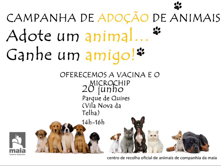 FEIRA DE ADOÇÃO DE ANIMAIS DE COMPANHIA