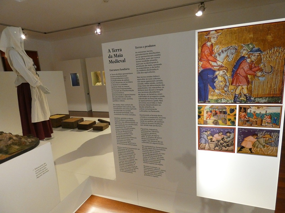 Museu de História e Etnologia da Terra da Maia - agenda novembro I 2019