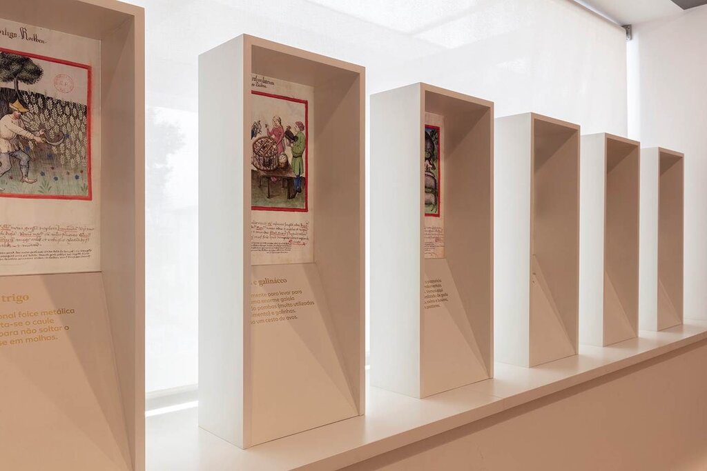 CANCELADO - Museu de História e Etnologia da Terra da Maia - agenda março I 2020