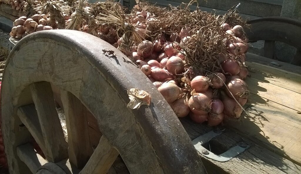 Feira das Cebolas 2022