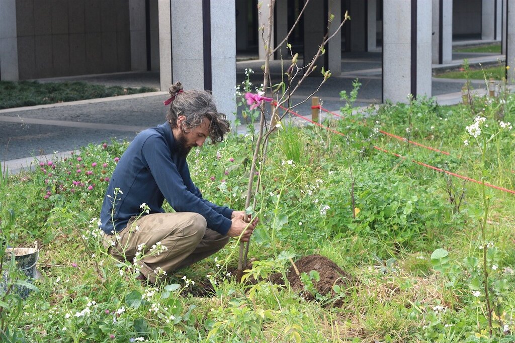 Workshop - "Compostagem na Cidade"
