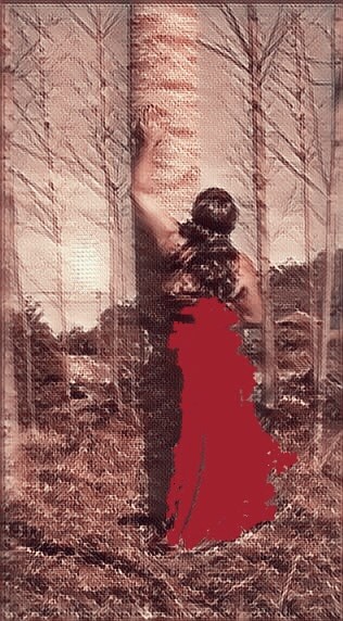 "Vesti-me de Vermelho (para que me visses no meio da multidão)"