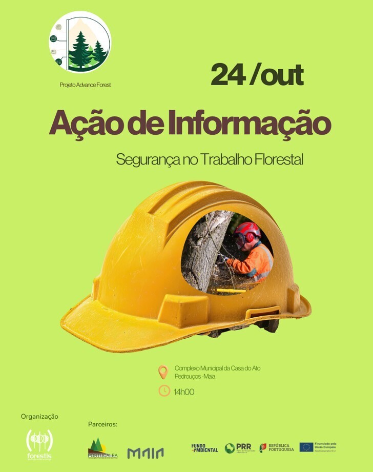 Avaliação dos Riscos e Segurança no Trabalho Florestal